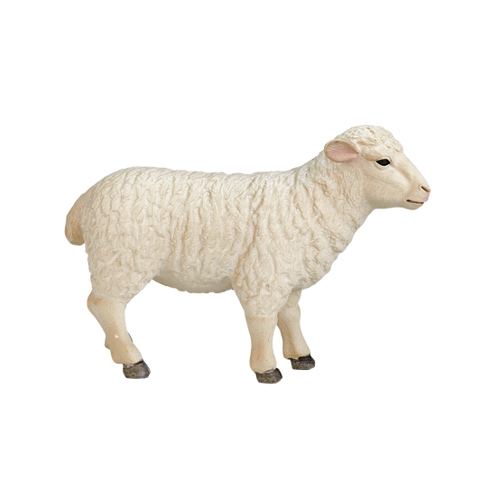 Mojo Sheep (Ewe)