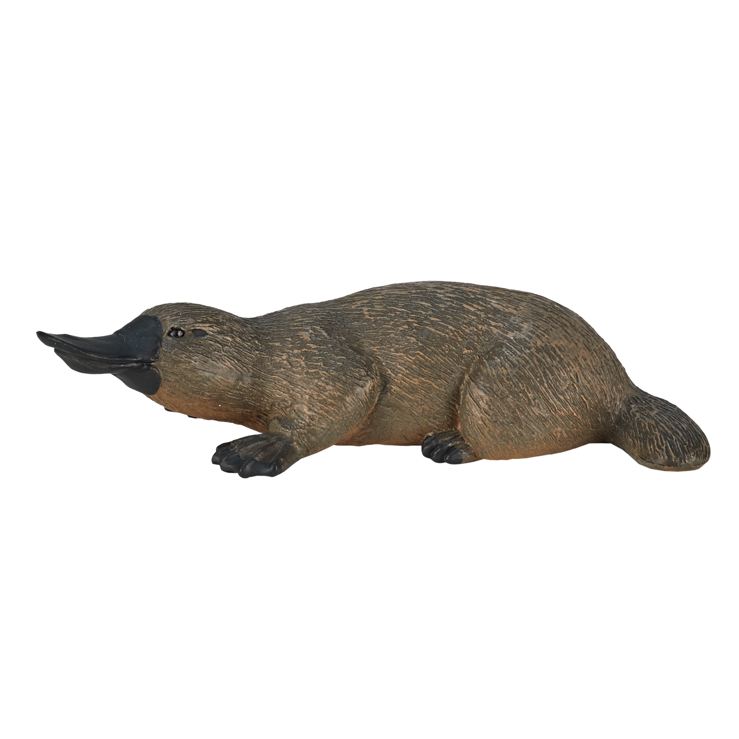 Duck Billed Platypus