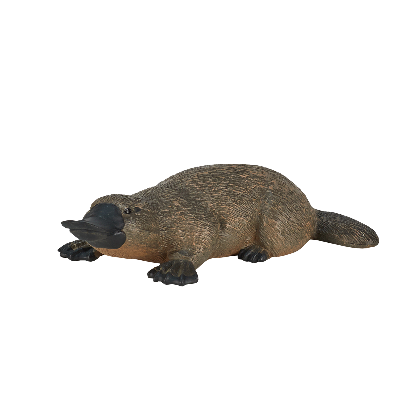 Duck Billed Platypus