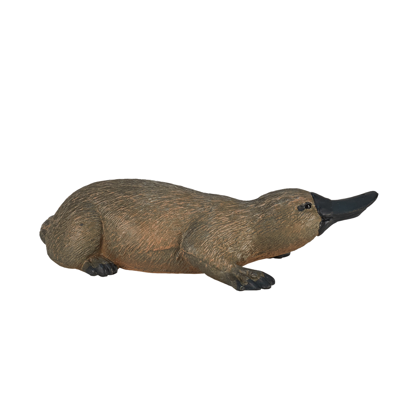Duck Billed Platypus