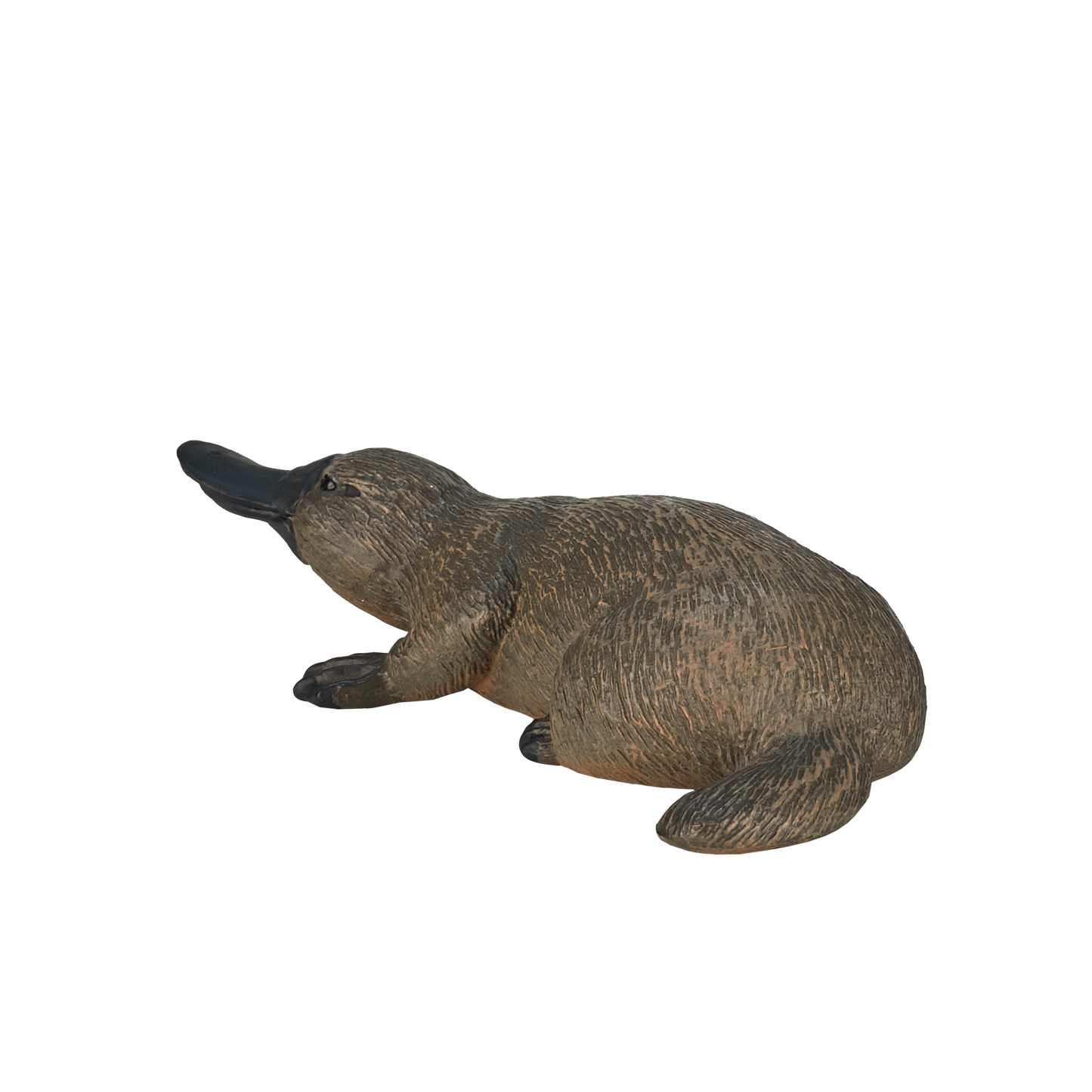 Duck Billed Platypus