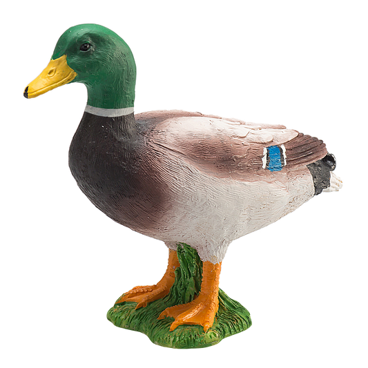 Mojo Mallard Duck