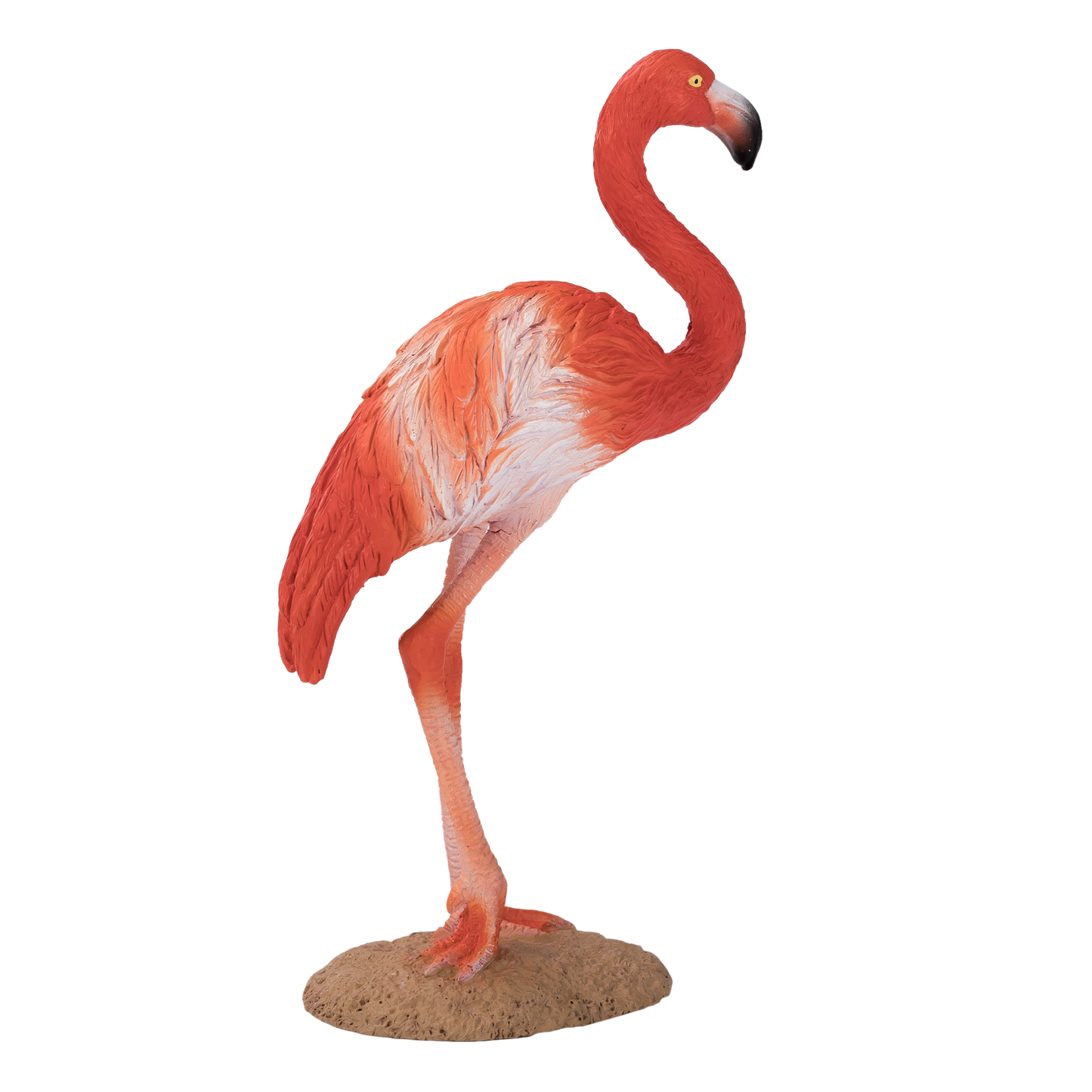 Mojo American Flamingo