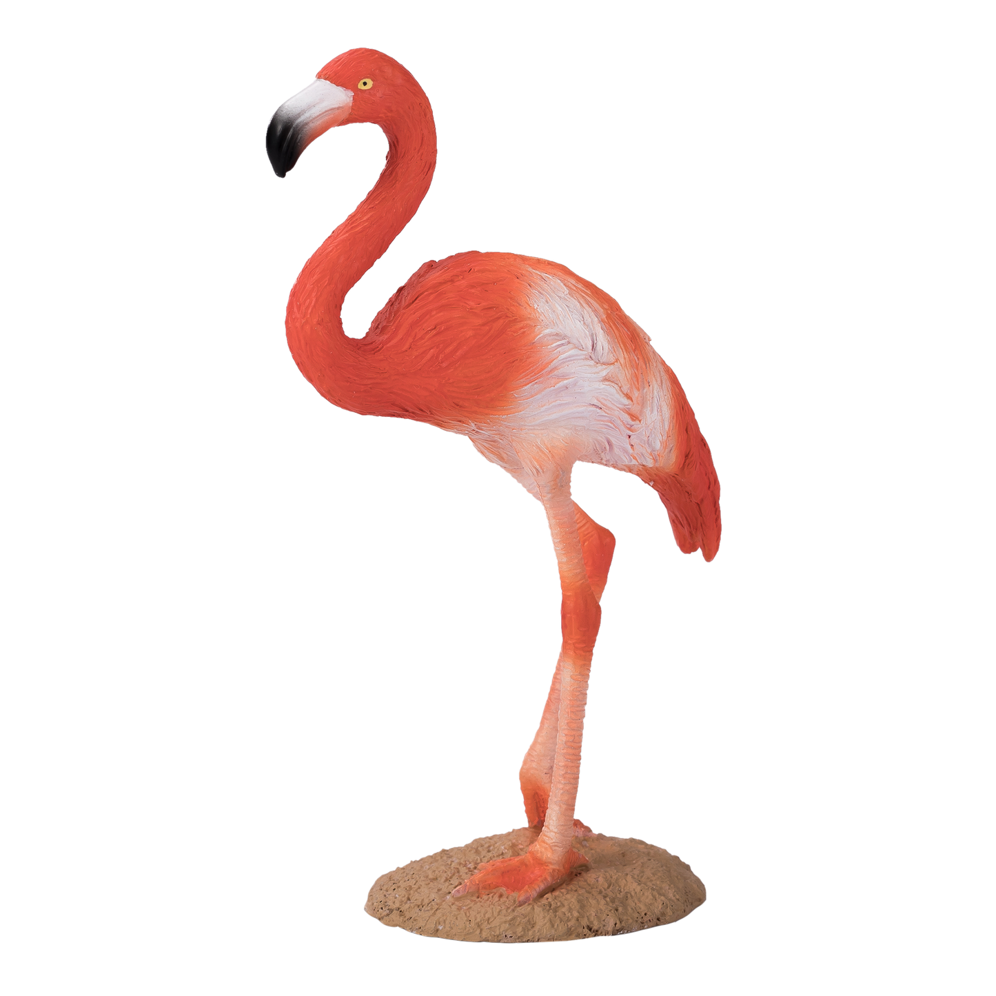 Mojo American Flamingo