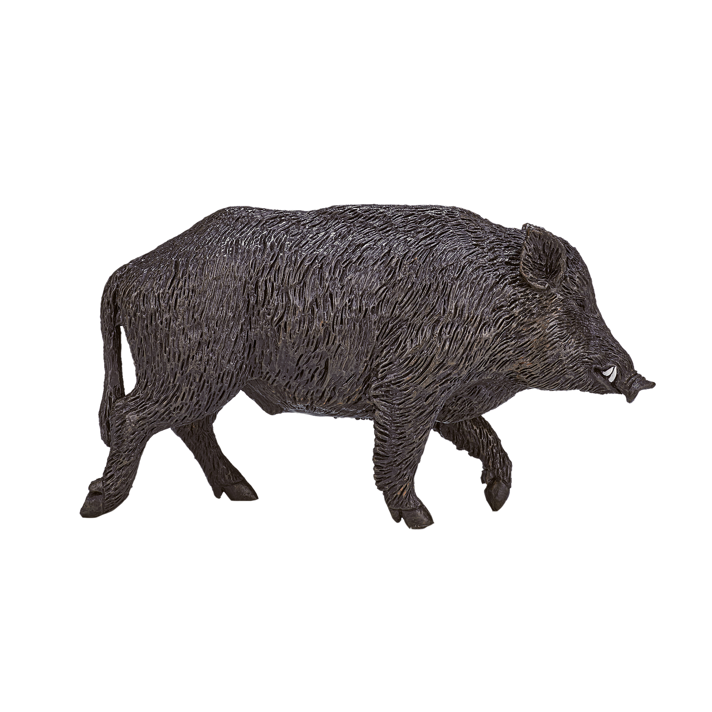 Wild Boar