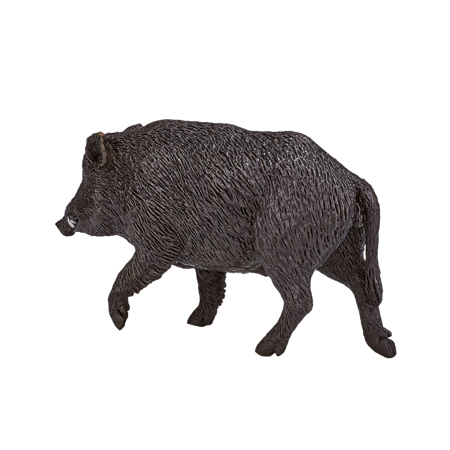 Wild Boar