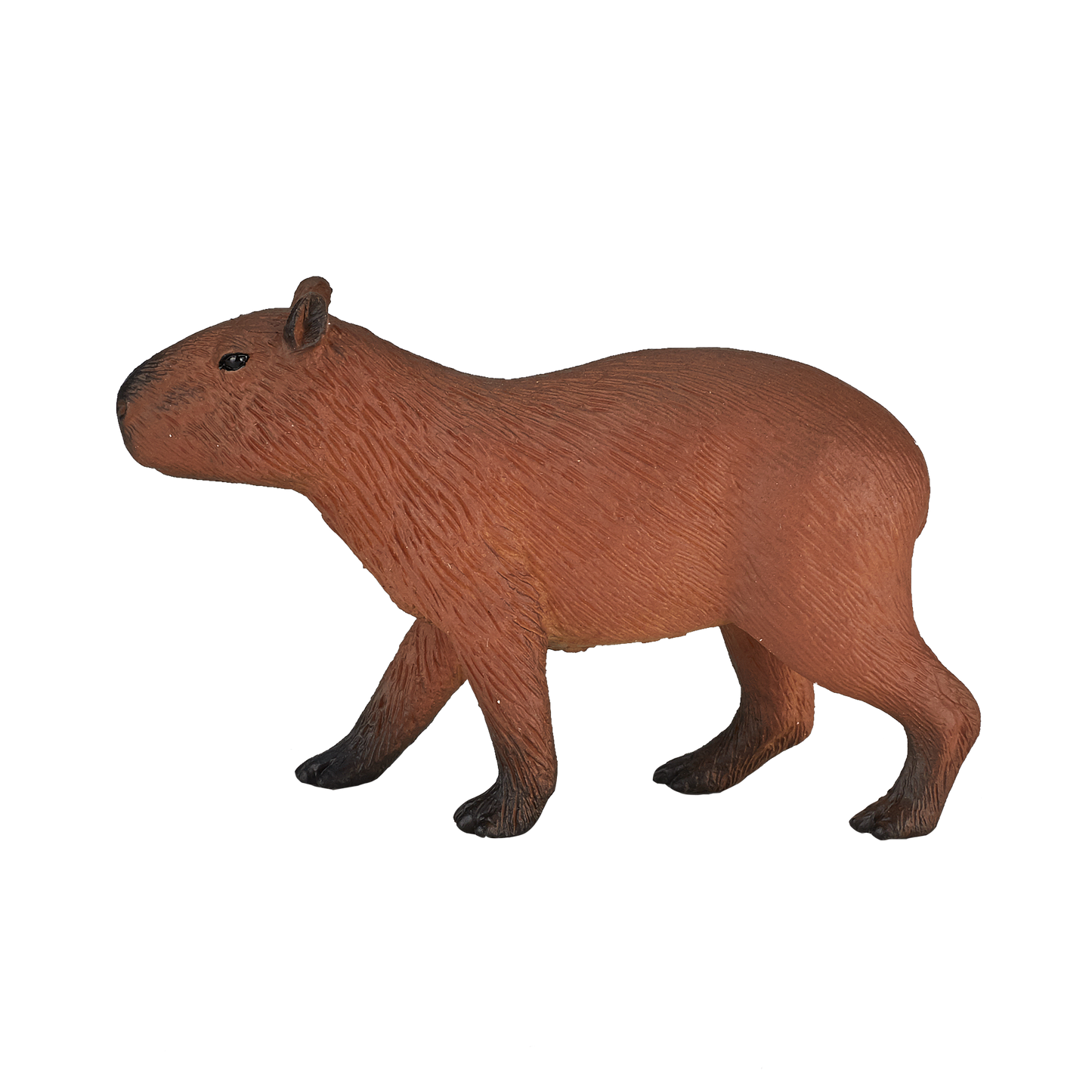 Capybara