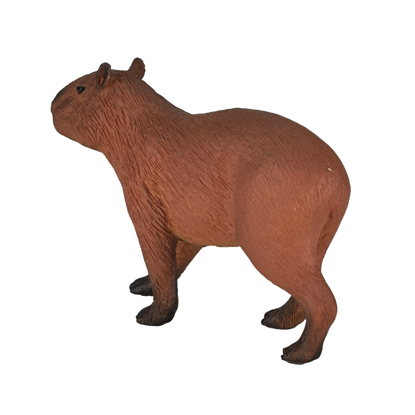 Capybara