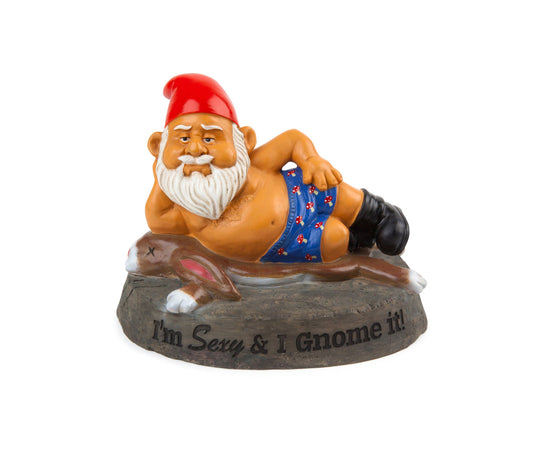 Sexy & I Gnome It