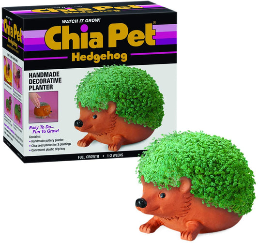 Chia Hedgehog