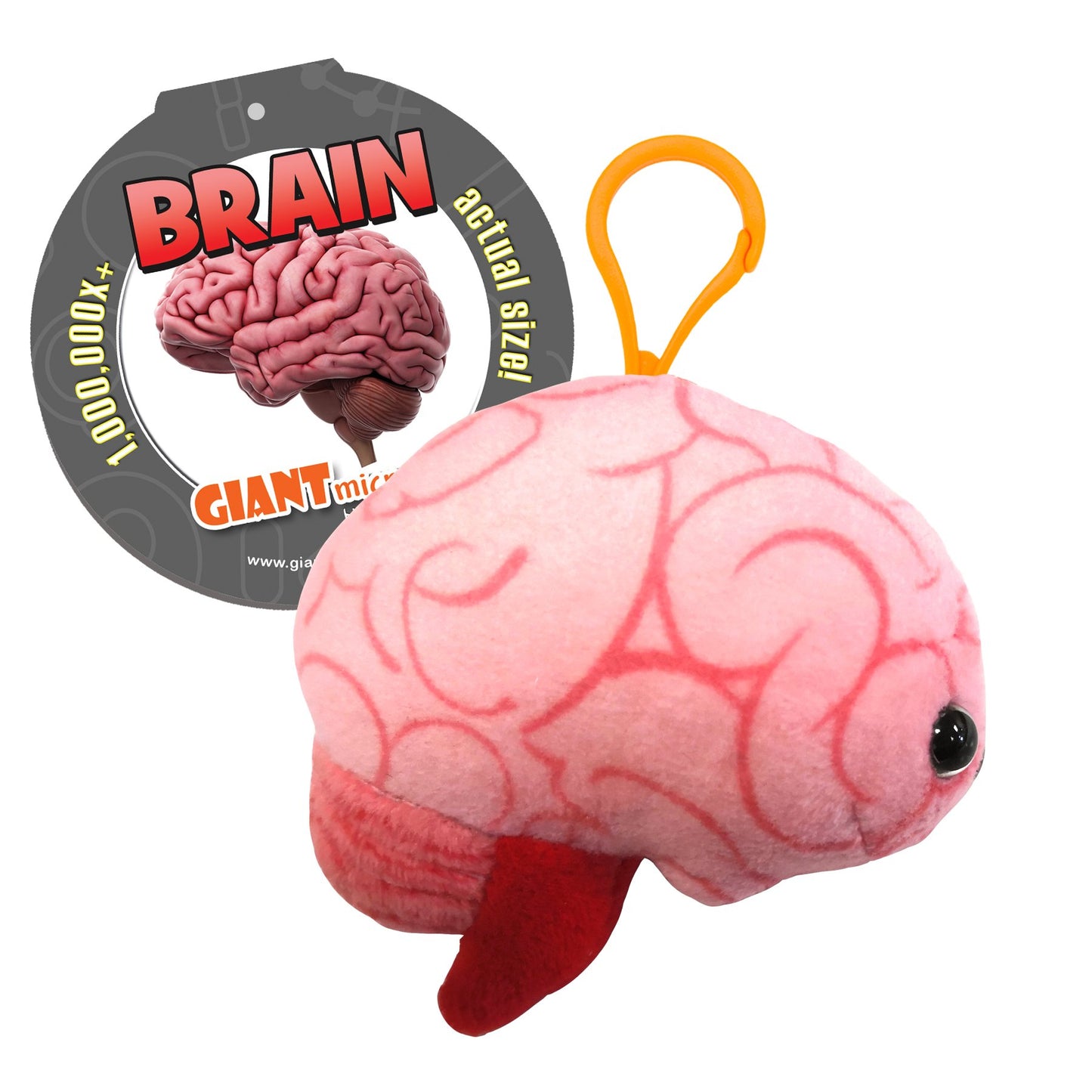 Brain Organ key chain