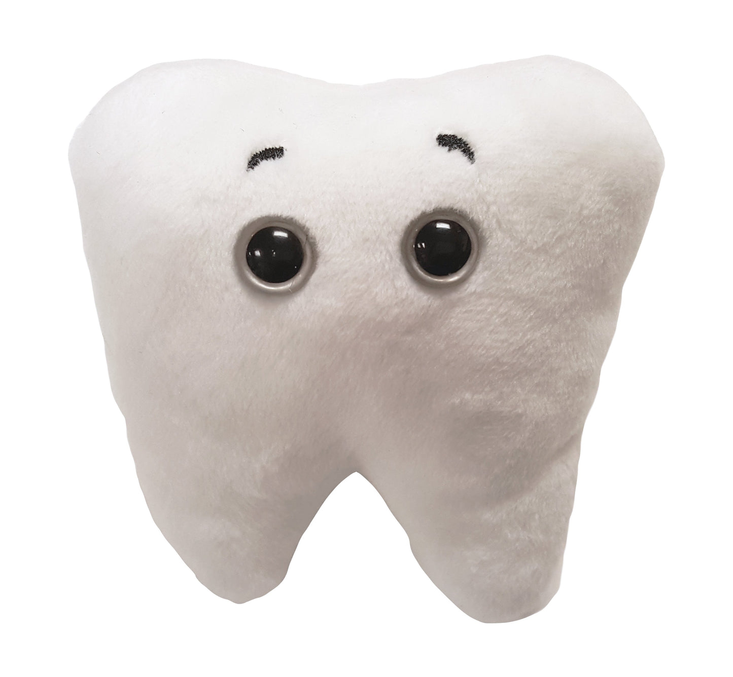 Tooth (Molar)