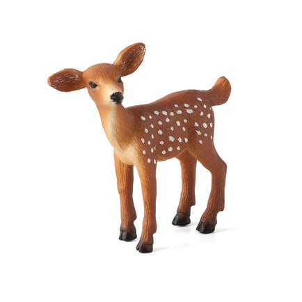 White Tailed Deer Fawn