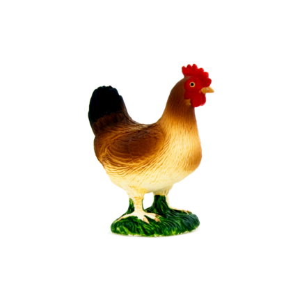 Hen Standing