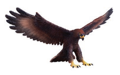 Golden Eagle