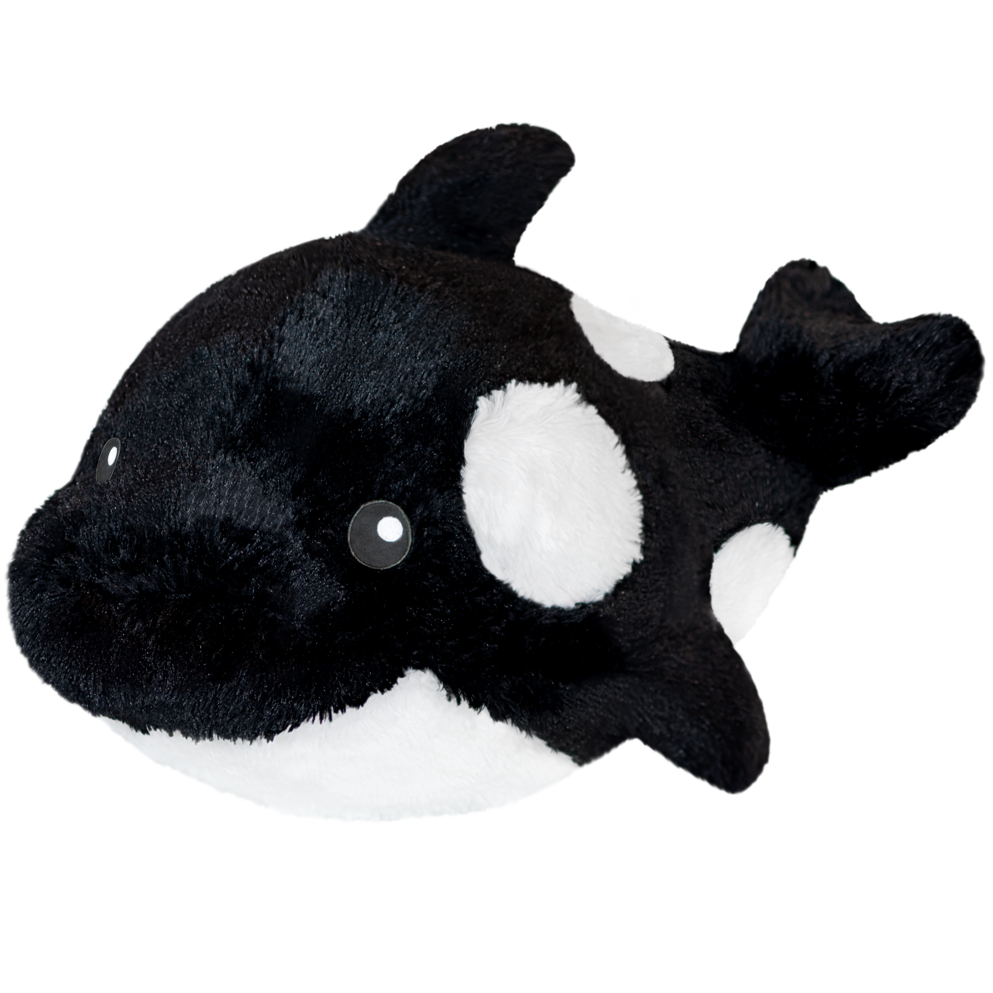 Squishable Orca II