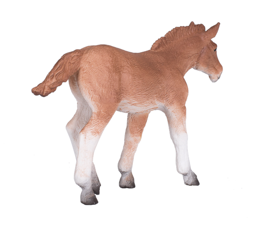 Suffolk Punch Foal