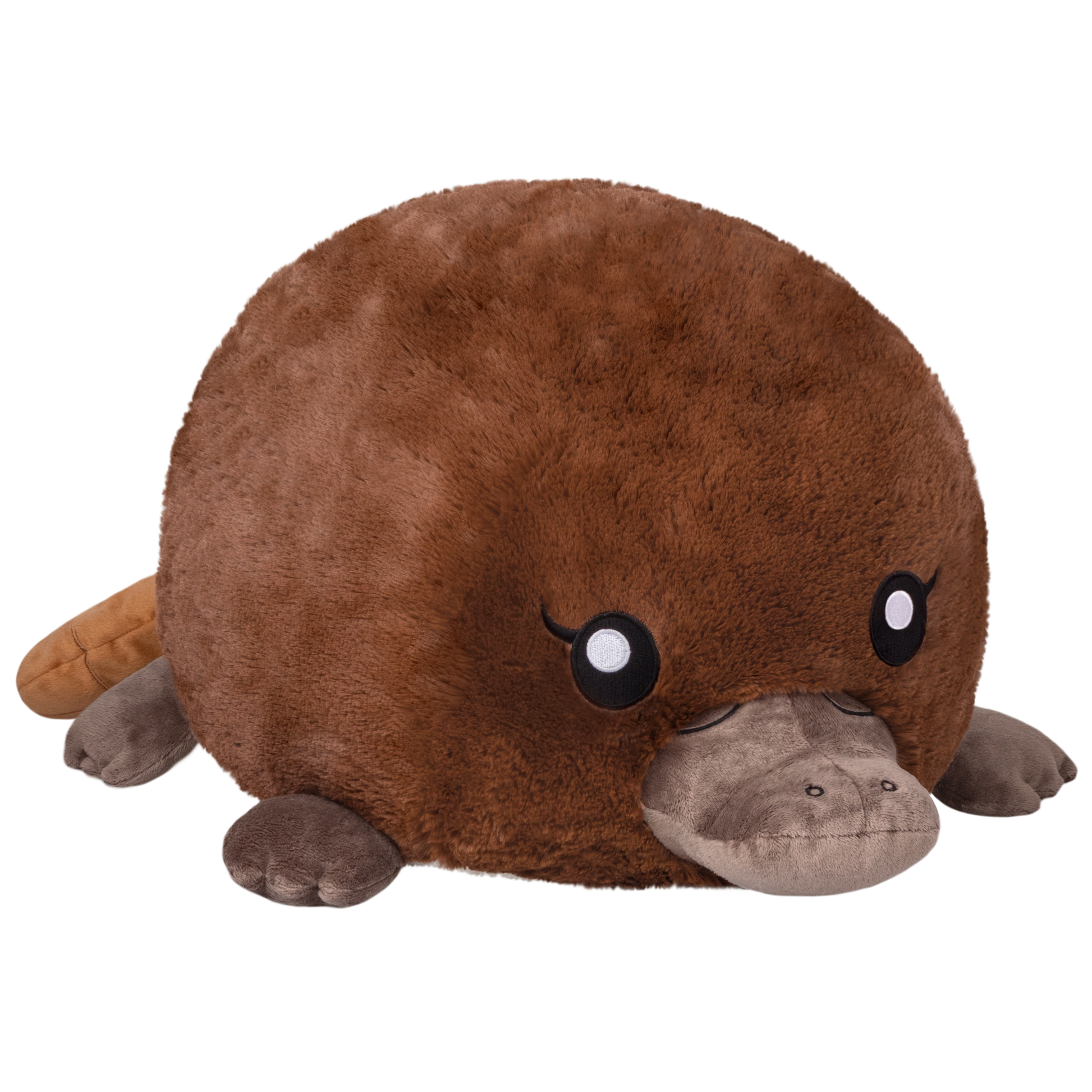 Squishable Baby Platypus