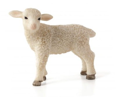 Lamb Standing