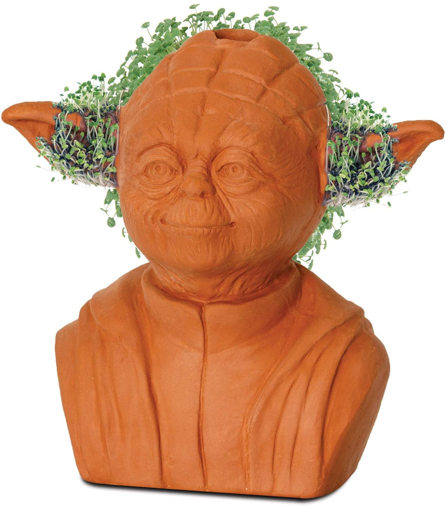 Chia Yoda - Super Toy